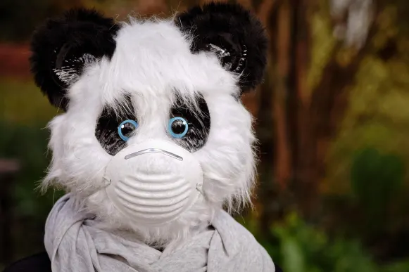 プロント カジノ サポート